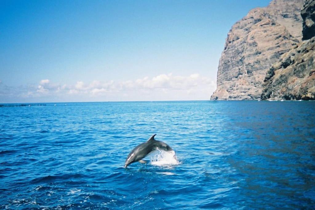Vacanze Da Sogno San Miguel de Abona Luaran gambar
